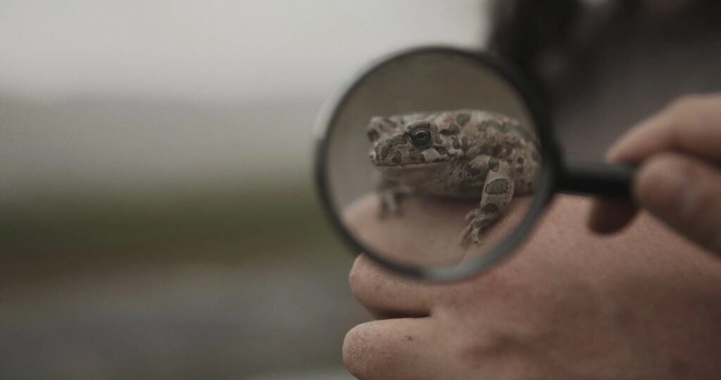 ‘Tükettiğimiz Dünya: Documentarist Ekoloji Buluşmaları’ Van’da